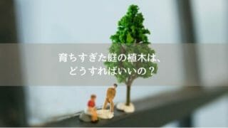育ちすぎた庭の木に悩む家族