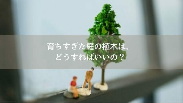 育ちすぎた庭の木に悩む家族